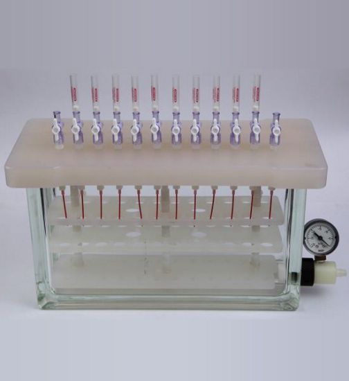 Picture of Chromatography SPE manifold 24 Place  82401