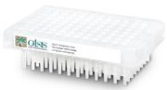 Picture of SPE Cartridge 96 Well 186002503