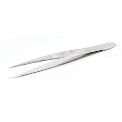 Splinter Forceps SS 125mm WSFN125