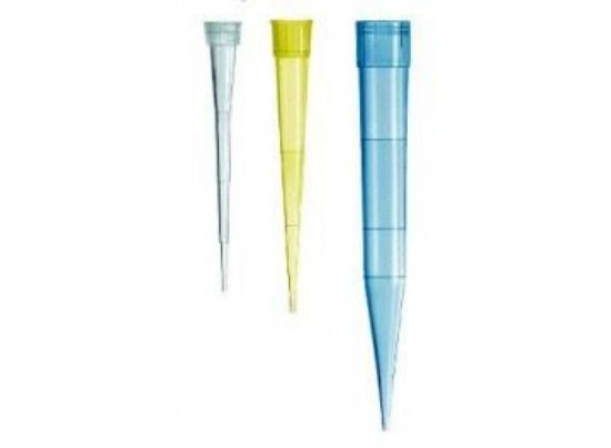 Picture of Pipette Tips Universal/Eppendorf Fitting MS 4530-00