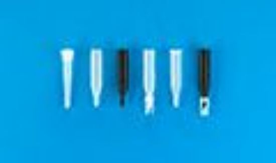 Picture of 250µL Black Polypropylene Big Mouth Conical Limited Volume Insert, 6x31mm, Precision-Formed Interior, w/Bottom Spring 425PBS-631BK