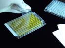 ThermalSeal Sealing Films for Classic PCR, Polypropylene, 50µm Thick, Non-Pierceable, Non-Sterile 100-THER-PLT