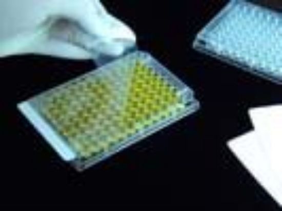 Picture of ThermalSeal Sealing Films for Classic PCR, Polypropylene, 50µm Thick, Non-Pierceable, Non-Sterile 100-THER-PLT