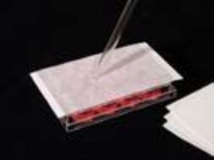 Picture of AlumaSeal II Sealing Foils for Classic PCR, Aluminum Foil, 36µm Thick, Pierceable, Non-Sterile AF-100