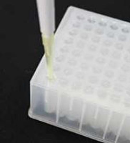 Picture of RAPID EPS Easy Piercing Polyolefin Synthetic Adhesive Sealing Film for HPLC and LC/MS Applications RAPID EPS