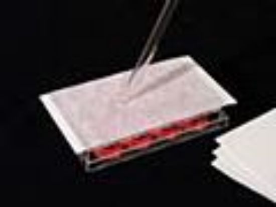 Picture of RAPID Slit PET Silicone Adhesive Sealing Film Pre-Slit for Automation, SPE, HPLC, LC/MS and ADME RAPID Slit