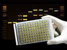 ThinSeal Sealing Films for ELISA and General Incubation, Polyester, 25µm Thick, Marginally Pierceable, Sterile STR-THIN-PLT