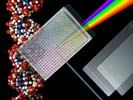 ThermalSeal A Sealing Films for PCR Plates with Narrow Sealing Surface, Polypropylene, 50µm Thick, Non-Pierceable TSA-100