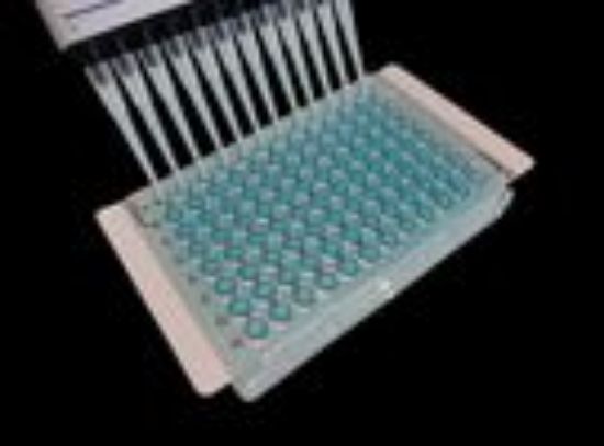 Picture of X-Pierce Sealing Films for Robotics & High-Throughput Processing, Vinyl, 89µm Thick, Pre-Cut, Pierceable XP-100