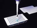 XTR Foil Films for PCR, Long-Term Compound Storage, Assays, & Robotics, DMSO Resistant, 48µm Thick, Pierceable XTR-FOIL-100