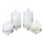 Picture of Polycap TF 150, 0.45 µm, with FNPT inlet and outlet (5 pcs) 2803T