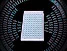 ThermalSeal Sealing Films for Classic PCR, Polypropylene, 50µm Thick, Non-Pierceable, Sterile STR-THER-PLT