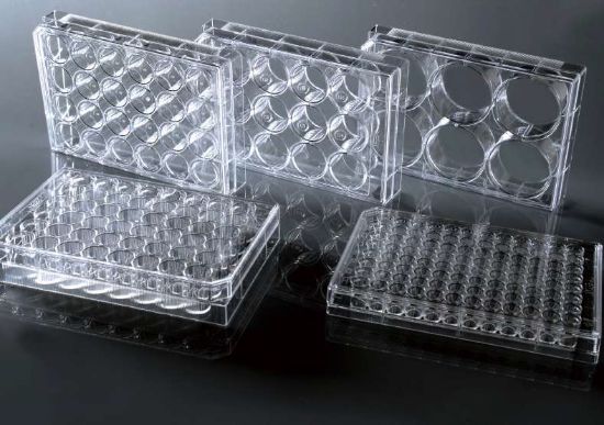 Picture of 384 Well Cell Culture Plate, Clear, Flat bottom, Non-treated, Sterile, 10/pack, 100/cs 761012