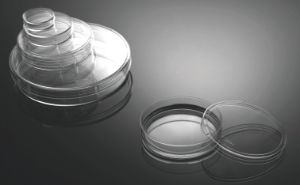 Picture of 35 mm Cell Culture Dish, TC, Sterile, 20/pk, 500/cs 706001