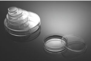 Picture of 100 mm Cell Culture Dish, TC, Sterile, 5/pk, 300/cs 704004
