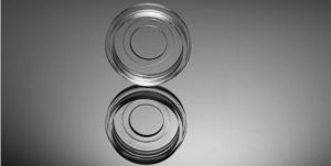 Picture of Glass Bottom Cell Culture Dish, 15 mm, TC, Sterile, 10/pk, 200/cs 801002