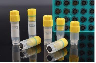 2D Barcode 0.5mL Cryogenic Vial, Self-Standing, External Thread, Sterile, 50/pk, 500/box 618041