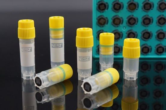 Picture of 2D Barcode 0.5 mL Cryogenic Vial, Self-Standing, External Thread, Sterile, 9*9/rack 618053