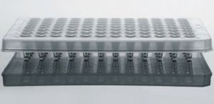 Picture of 0.1 mL 96 Well PCR Plate, No Skirt, Clear, H12 Notch, 5/bag, 25/pk 402101