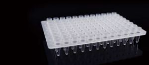 Picture of 0.2 mL 96 Well PCR Plate, No Skirt, Elevated Wells, Clear, H12 Notch, 5/bag, 25/pk 402201