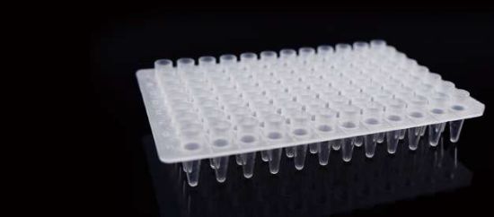 Picture of 0.2 mL 96 Well PCR Plate, No Skirt, Elevated Wells, Clear, H12 Notch, 5/bag, 25/pk 402201