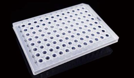 Picture of 0.2 mL 96 Well PCR Plate, Semi Skirt, Clear, A12 Notch, 5/bag, 25/pk 402301