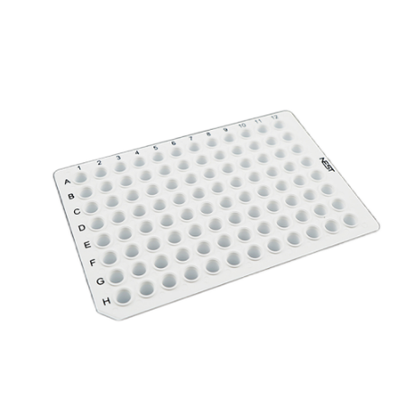Picture for category PCR 96 Wellplate