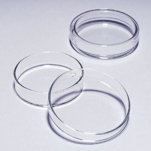 Picture of 100mm Glass Petri Dish MS 44PDG