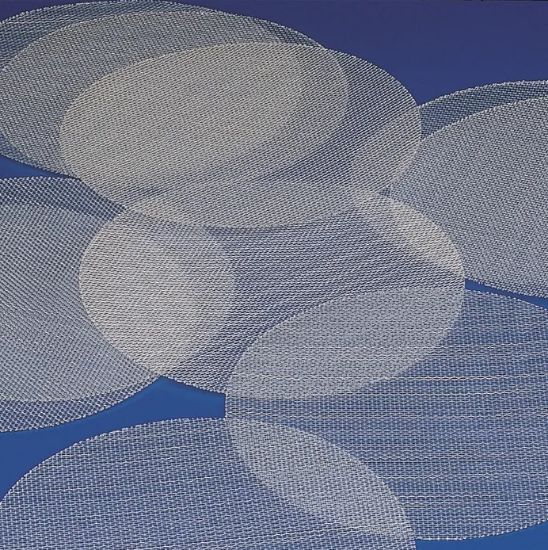 Picture of SUPPORT DISCS FOR BUCHNER HDPE 70 mm KAR837