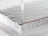 Picture of FoilSeal for PCR, Long-Term Compound Storage, Rnase/Dnase-Free, DMSO Resistant F2-100