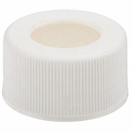 Picture of 33-400mm White, Polypropylene Open Hole Cap, Bonded PTFE/Silicone Liner, 34-529