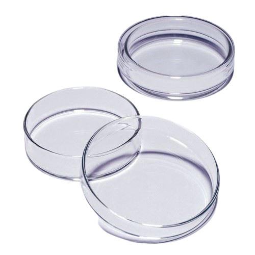 100mm Glass Petri Dish MS 44PDG