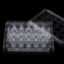 Picture of 12 Cell Culture Inserts+24 Well Plate, 0.4 μm, PET Memberane, TC, Sterile, 12/pk, 48/cs 725121