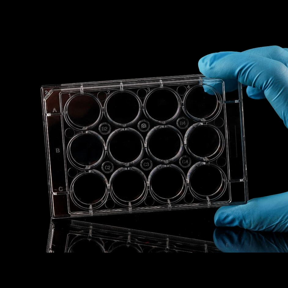12 Well Cell Culture Plate, Flat, Non-treated, Sterile, 10/pk, 50/cs 712012