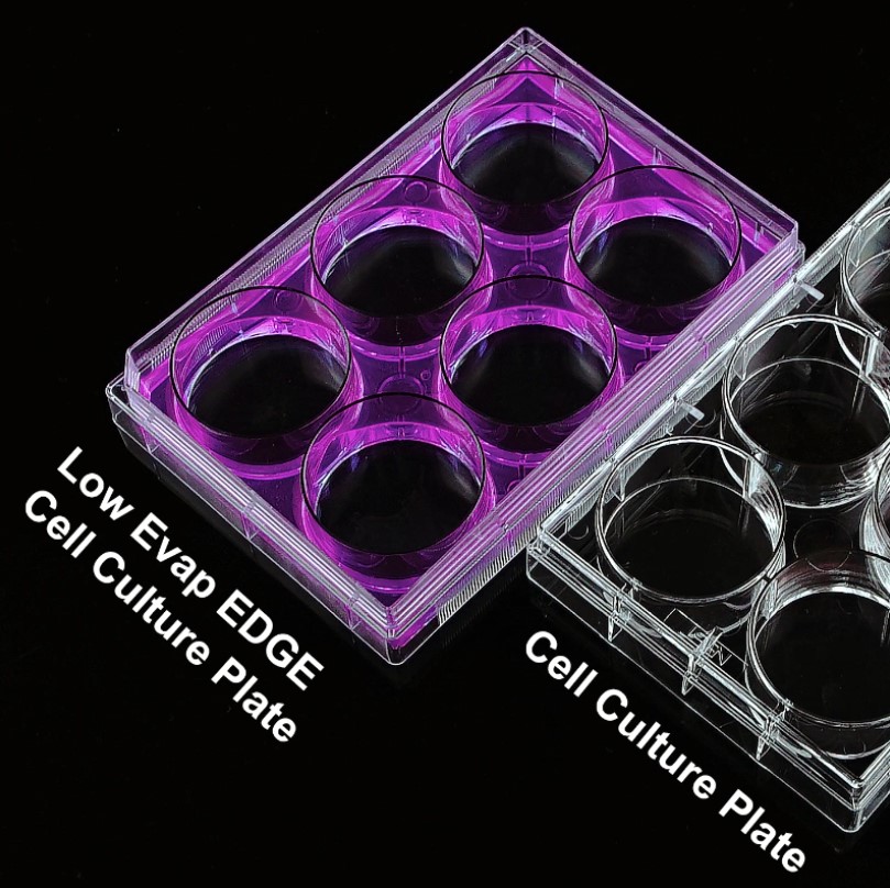6 Well EDGE Cell Culture Plate, Flat, Non-Treated, Sterile, 1/pk, 50/cs 714001