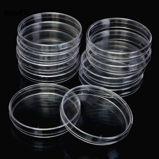 90mm Petri Dish Gamma Sterile 500/pk 752204