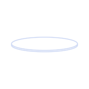 Picture of Septa N 8, PTFE, White, 0.25 mm, 53° shore D,  70261 